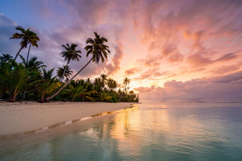 Sri Lanka tea plantations